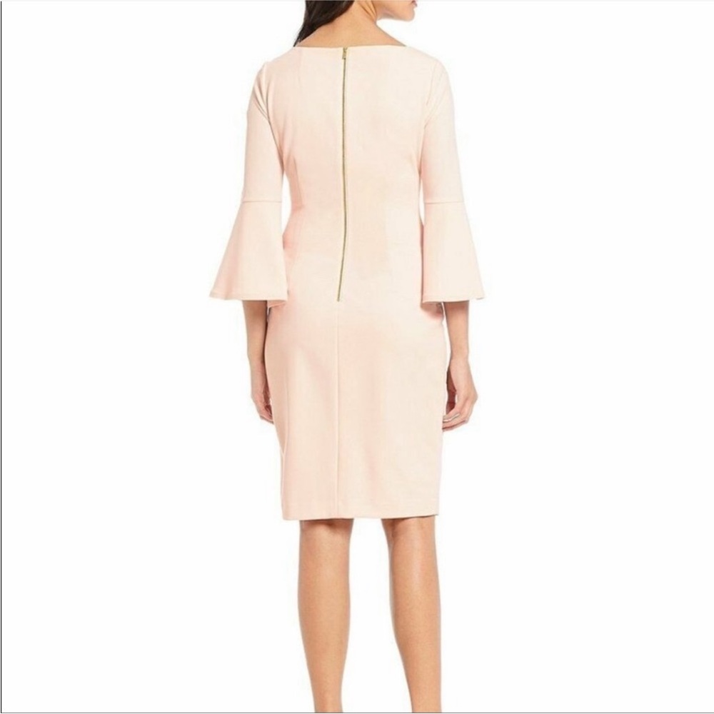 Elegant Pink Bell Sleeve Dress